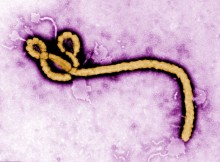 The real threat of Ebola: fear