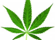 State legislators proposes medical marijuana