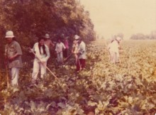 Former farmworkers share their stories