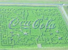 6-acre corn maze perfect fall fun for families
