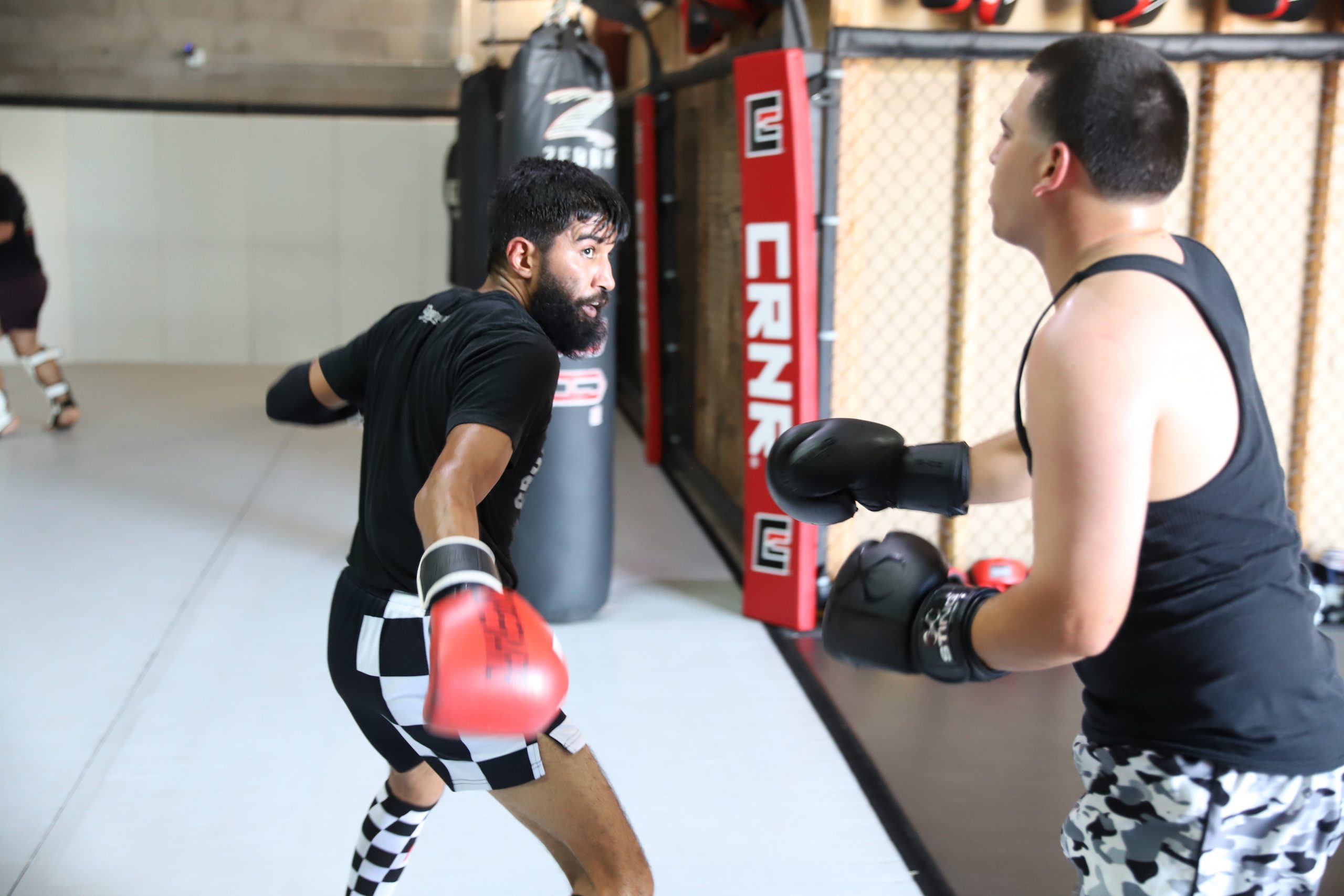 Green Maintains Training.