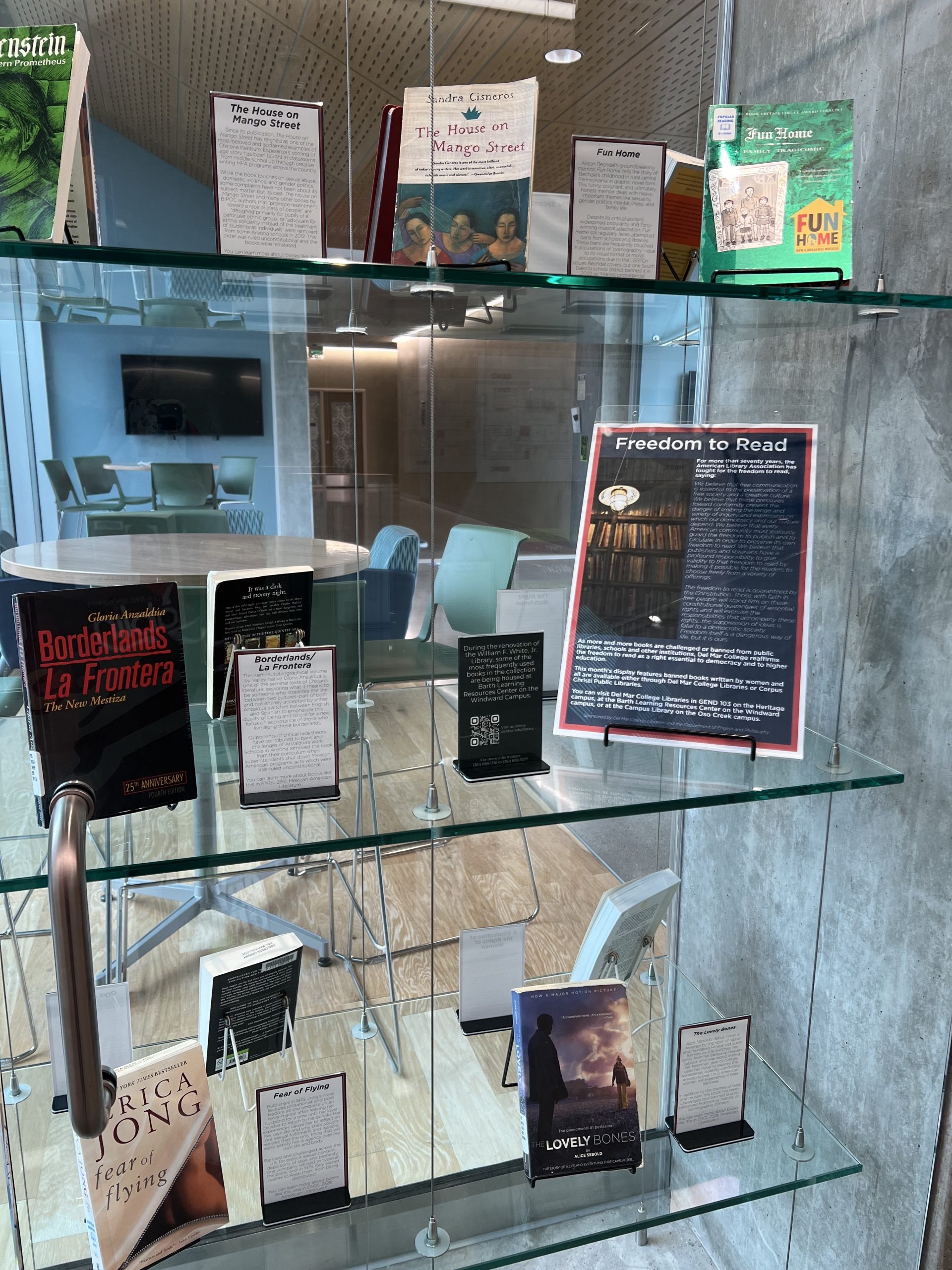 Library display showcases banned books